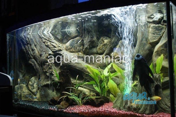 3D Aquarium Background Amazon design for tropical fish tanks