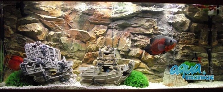 3D Background Rock 97x45cm to fit Aqua Oak 110 Aquarium