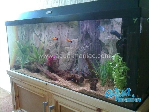 3D Background Rock Root With Vent 178x58cm in 3 section to fit 6 foot by 2 foot tanks