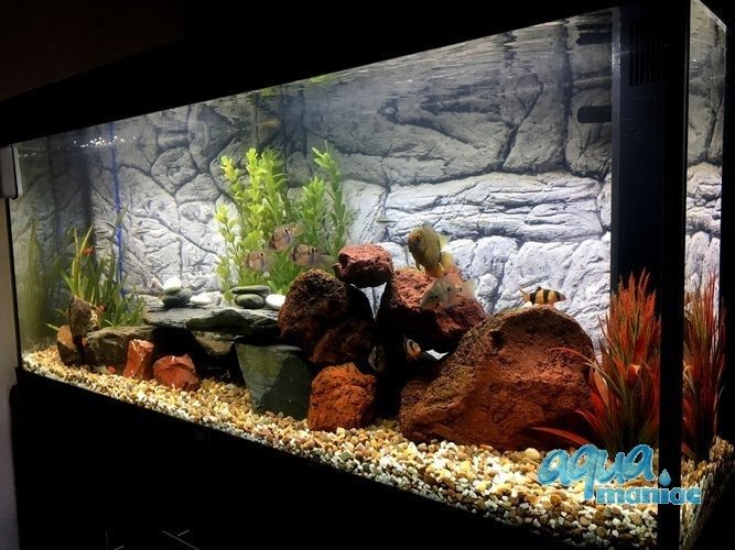 3D Background Thin Grey Rock 106x56cm to fit Aqua Oak 120 Aquarium