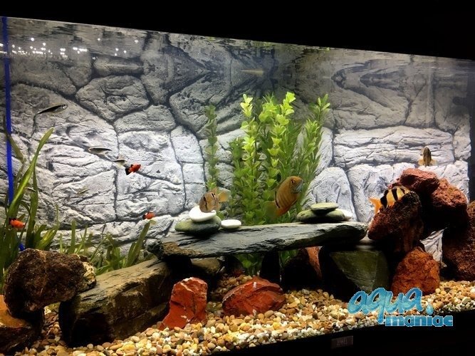 Aqua Oak 120 3D Aquarium Background Thin Grey Rock design for tropical fish  tanks