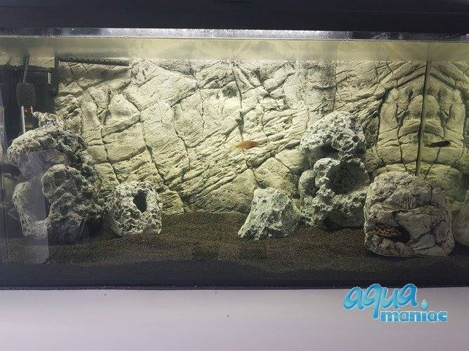3D Foam Rock Background Module size 60x55cm 