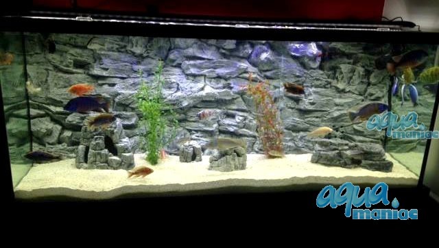 3D Grey Rock Background 181x56cm in 3 section to fit 6 foot by 2 foot tanks
