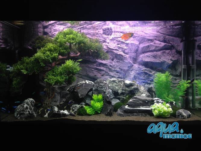 3D Grey Rock Background 67x47cm for aquarium fish tank decoration