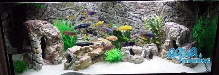 3D Thin Rock Background 117x56cm in 2 section to fit 4 foot by 2 foot tanks