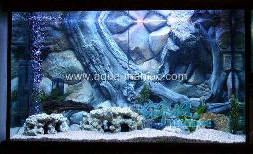 3D Aquarium Background  design for tropical fish tanks