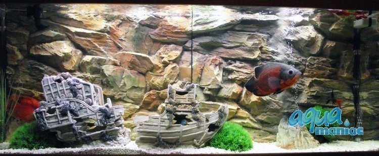 3D beige rock background 77x54cm to fit Aqua One 145 fish tank