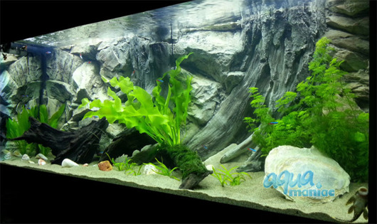 3D root background 196x45cm