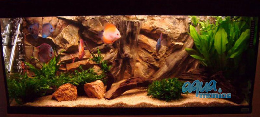 Fluval Roma 200 3D Root Background 97x45cm in 2 sections