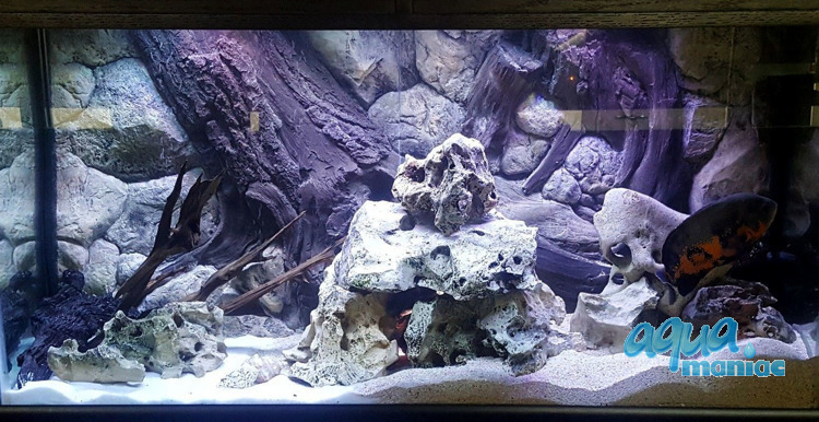 Fluval Roma 200 3D amazon background 97x45cm in 2 sections