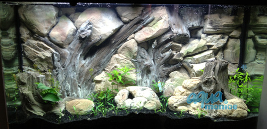JUWEL Vision 260 3D Root Background 117x54cm in 2 sections