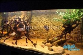 3D Background Thin Rock 77x54cm to fit Aqua Oak 145 Aquarium