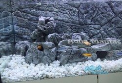 JUWEL RIO 240 3D thin grey rock background 117x45cm in 2 sections