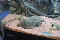 Small aquarium stone in beige colour